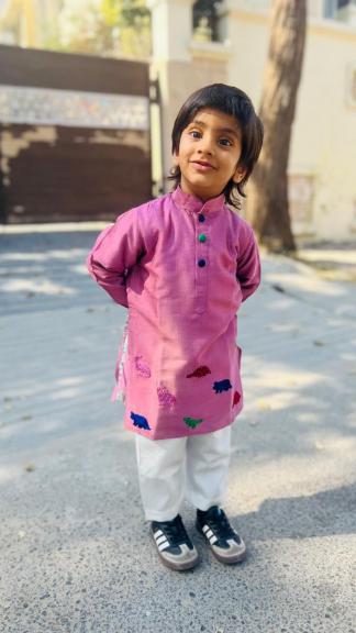 Wine Dinosaur Kurta